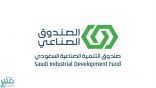 الصندوق الصناعي: أكثر من 17 مليار ريال قيمة القروض المعتمدة للعام الجاري