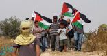 حقوق الإنسان: المجتمع الدولي يطالب بحل للقضية الفلسطينية