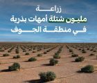 “الغطاء النباتي” يزرع مليون شتلة لأمهات البذور بمنطقة الجوف لتنمية المراعي الطبيعية