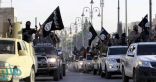 التحالف الدولي: أقل من 3 آلاف مقاتل من الدواعش لا يزالون بالعراق وسوريا