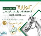 بدءًا من 26 فبراير.. “البيئة” تمنع نقل الخيول من الإسطبلات وإليها في الرياض