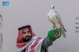 مهرجان الملك عبدالعزيز للصقور 2025 يقيم 6 أشواط للمحترفين المحليين في يومه الثاني