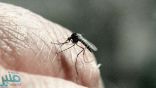 اكتشاف طريقة لمنع لدغات البعوض
