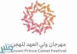 انطلاق الأشواط الختامية لمهرجان ولي العهد للهجن .. غداً