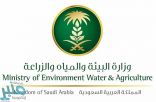 البيئة” تطلق أسبوعاً مكثفاً لنثر بذور النباتات في 15 موقعاً بمنطقة الرياض
