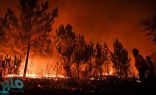 حرائق الغابات تقتل ما لا يقل عن 42 شخصًا في شمال كاليفورنيا