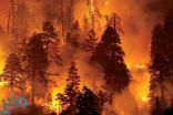 السفارة السعودية لدى تركيا تحذر المواطنين من حرائق الغابات