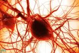 «الخلايا الجذعية».. ثورة جديدة في علاج قصور القلب
