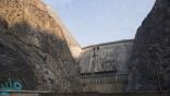 مصر تبني أكبر سد في تنزانيا