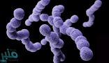 علماء يسخِّرون «البكتريا» لتعزيز الصحة العامة للبشر