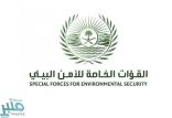 القوات الخاصة للأمن البيئي تضبط مخالفات بيئية في عدد من مناطق المملكة