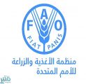 “فاو” تشكر “البيئة” على جهود مكافحة الجراد