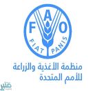 “فاو” تشكر “البيئة” على جهود مكافحة الجراد