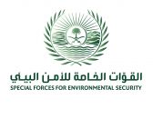 القوات الخاصة للأمن البيئي تضبط 16 مخالفًا لنظام البيئة لارتكابهم مخالفات رعي
