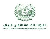 الأمن البيئي تضبط 54 مخالفاً لنظام البيئة لارتكابهم مخالفات رعي