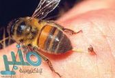 كشف فعالية سم النحل في علاج هذا المرض الخطير.. تعرف عليه!