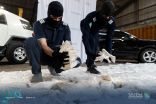 ضبط أكثر من 12 مليون حبة كبتاجون مُخبأة في إرسالية “كاكاو”