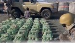 إحباط محاولات تهريب (26.5) طن من القات و(671) كيلو من الحشيش و(290,170) قرصًا مخدرًا