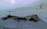 حفرية تيتانوصور عمرها 98 مليون عاما تشير لـ”أكبر حيوان في العالم”