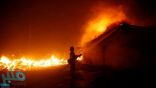 23 قتيلا بسبب حرائق الغابات في كاليفورنيا
