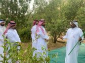مدير “بيئة مكة” يتفقد مشروعات اللوز البجلي والفاكهة ويؤكد دعم الزراعة الجبلية وتمكين المزارعين