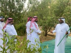 مدير “بيئة مكة” يتفقد مشروعات اللوز البجلي والفاكهة ويؤكد دعم الزراعة الجبلية وتمكين المزارعين