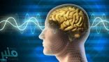 تقنية جديدة للحفاظ على الذكريات في دماغ الإنسان بعد وفاته