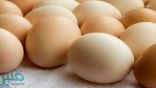 جديد.. علماء روس يستخدمون بيض الدجاج لإعداد دواء ضد إيبولا