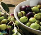 دراسة توضح مجموعة فوائد جديدة لقشر الزيتون