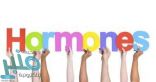 ماهى أهمية الهرمونات لجسم الإنسان ؟