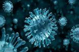 جديد.. فيروس قادر على تدمير الخلايا السرطانية فقط