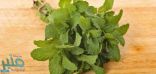 فوائد وأضرار النعناع… تعرف عليها