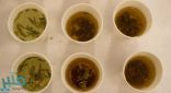 الشاي الأخضر من المشروبات الأكثر فائدة لصحة الإنسان