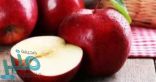 التفاح هيحميك من السرطان ويقلل الإصابة بالزهايمر