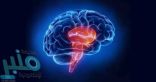 8 وظائف لا تحدث بداخلك إلا عن طريق جذع المخ…  تعرف عليهم