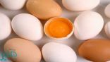 مجموعة أسباب تدعو لتناول بيض الدجاج بانتظام!