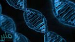 تعرّف إلى… عوامل الخطر الوراثية لديك!