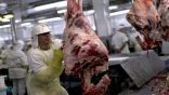 المملكة تحظر واردات اللحوم من البرازيل بعد اكتشاف إصابتين بجنون البقر