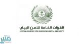 الأمن البيئي يوقف 36 مخالفًا لنظام البيئة لارتكابهم مخالفات رعي