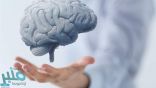 دراسة.. تكشف نوع طعام يحسن وظائف المخ
