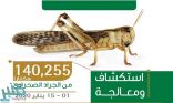 “البيئة” تستكشف وتكافح الجراد الصحراوي في 5 مناطق