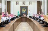 سمو أمير منطقة الباحة يُناقش مشاريع بلدية محافظة العقيق