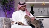منقذ القطط حمد بن ناصر: إنقاذ القطط أجر عظيم.. ولدينا في المنزل أكثر من 8 قطط