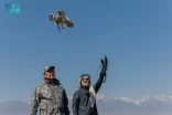 نادي الصقور السعودي يطلق عددًا من الصقور في كازاخستان للحفاظ على الصقور ودعم التوازن البيئي