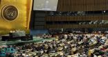 الأمم المتحدة تدعو مجلس الأمن لتحمل مسؤولياته بشأن قضية فلسطين