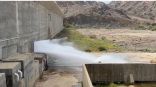 “البيئة”: فتح بوابات سد وادي حلي لتصريف 30 مليون م3