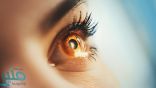 تعرف على… أكثر الأوقات التي نبصر فيها بشكل أفضل