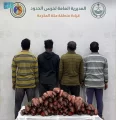 ضبط 4 مخالفين يمارسون الصيد في منطقة محظورة بالليث