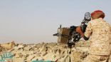 التحالف: مقتل 110 عناصر حوثية في 30 عملية بصرواح والجوف