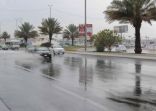 “الأرصاد” ينبه 9 مناطق: أمطار خفيفة إلى غزيرة ورياح شديدة وأتربة مثارة